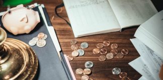 How LLC Ownership Works in the USA