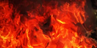 The Long Term Economic Impact of the Hawaii Fires