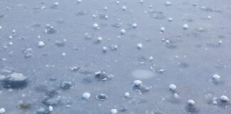 Top 10 Questions To Ask When Hiring a Public Adjuster for Commercial Hail Insurance Claims