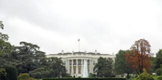 Trump or Biden – Former White House Economist on Who Is Best and Why