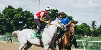 The Business of Speed: Exploring the Multi-Billion Dollar Horse Racing Industry