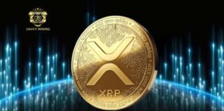 How To Make $10,000 a Day: XRP Enthusiasts Live the Dream on the SAVVY MINING Platform