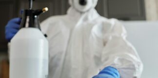 How Can I Find an Ant Exterminator in Midland, TX?