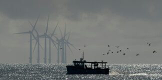 Mark Andrew Kozlowski: Leading the Blue Economy Movement