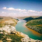 Going With the Flow in a Changing Work World